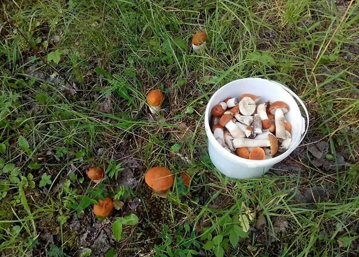 Appartement A&g Dubeninki